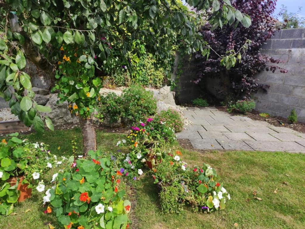 Glensheen Ennis Esterno foto